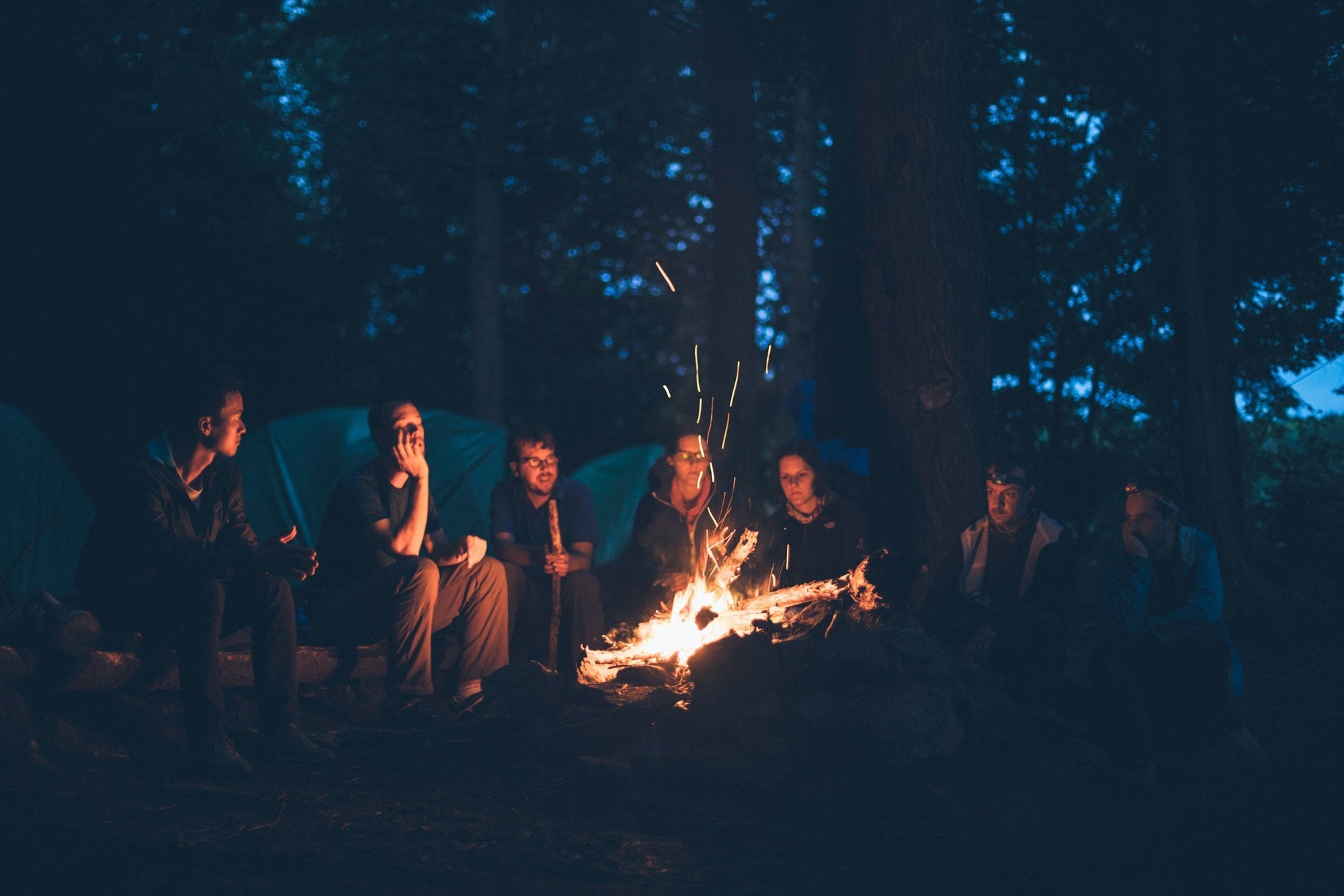 Why Choose Wood Fire Logs?